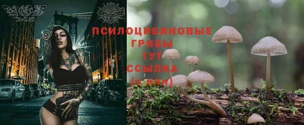 амф Беломорск